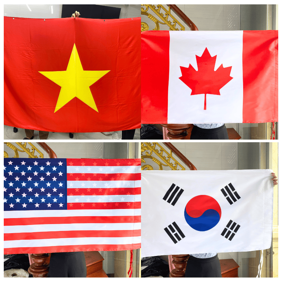 in cờ các nước